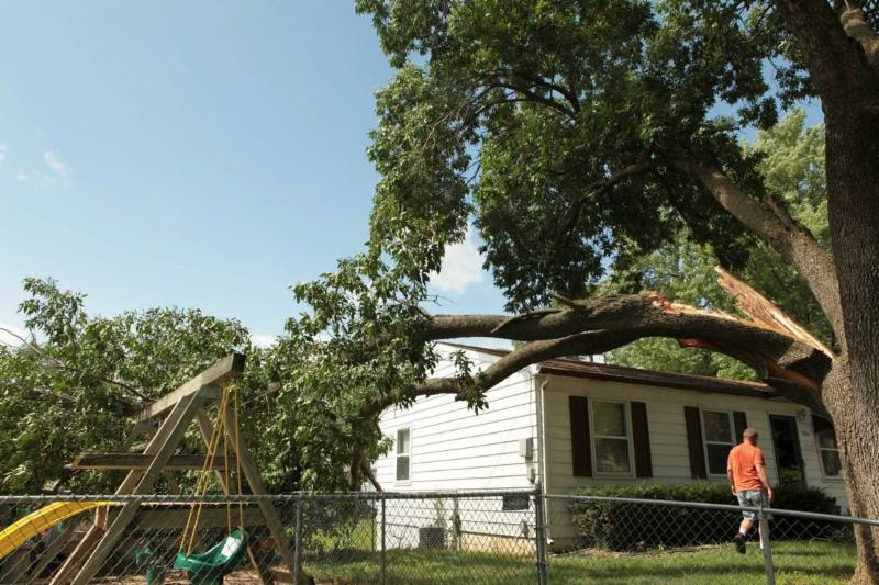 fallen tree limb on someone's home